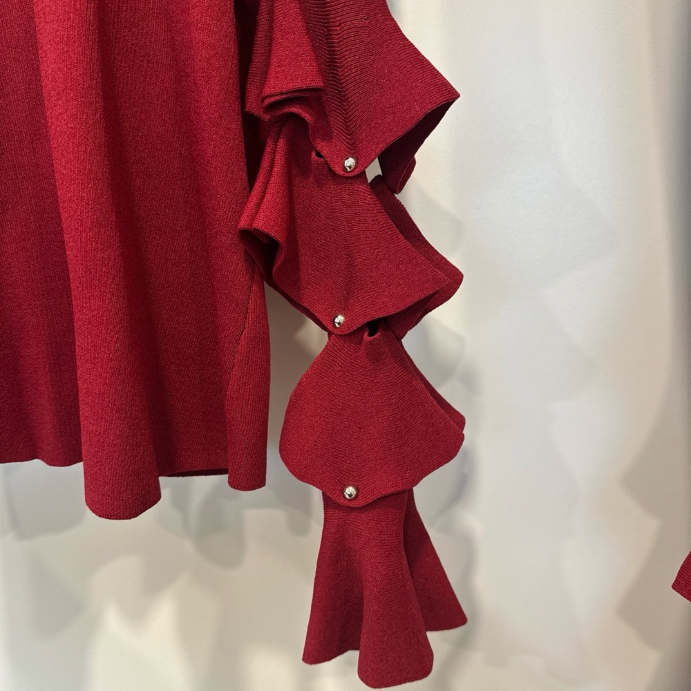 Jonathan Simkhai Red Ruffled Skirt Set - Picture 9 of 12